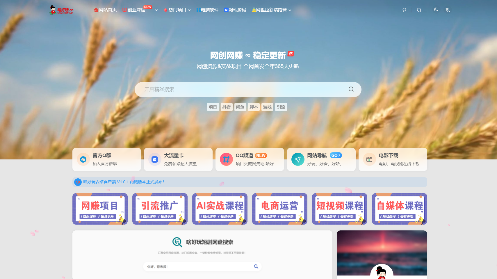 啥好玩副业网 - 副业项目|网创赚钱|自媒体创业免费资源平台 网站截图
