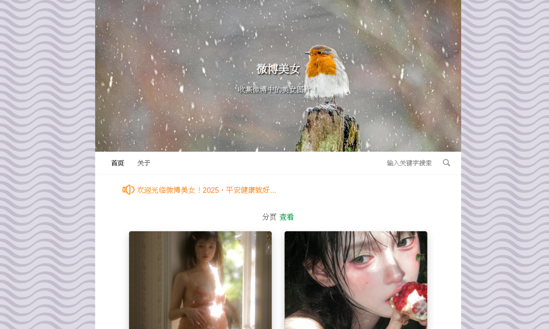 微博美女 - 收集新浪微博中的美女图片 网站截图